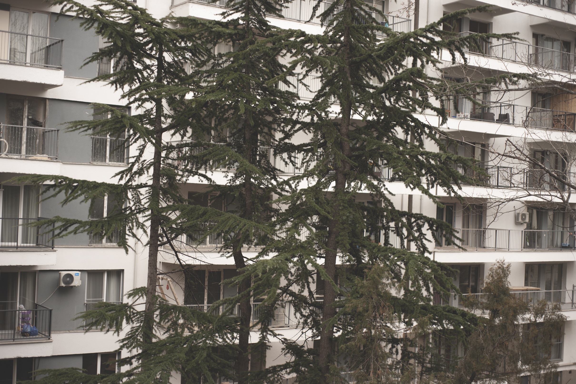 ქალაქი
